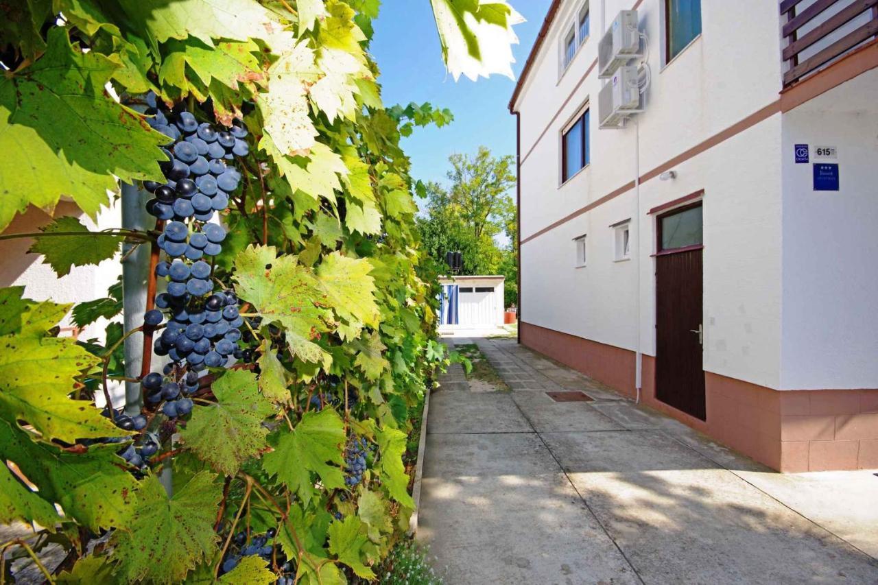 Apartments In Sabunike/Zadar Riviera 7812 Nin Exterior photo